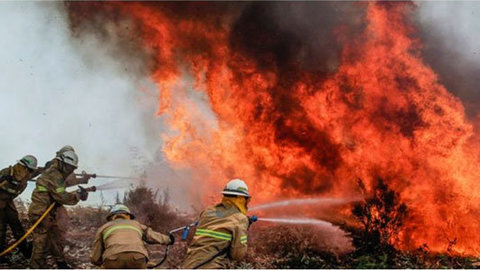 sindicato-bomberos-UGT-lamenta-pérdidas-humanas-incendio-Portugal-768x432